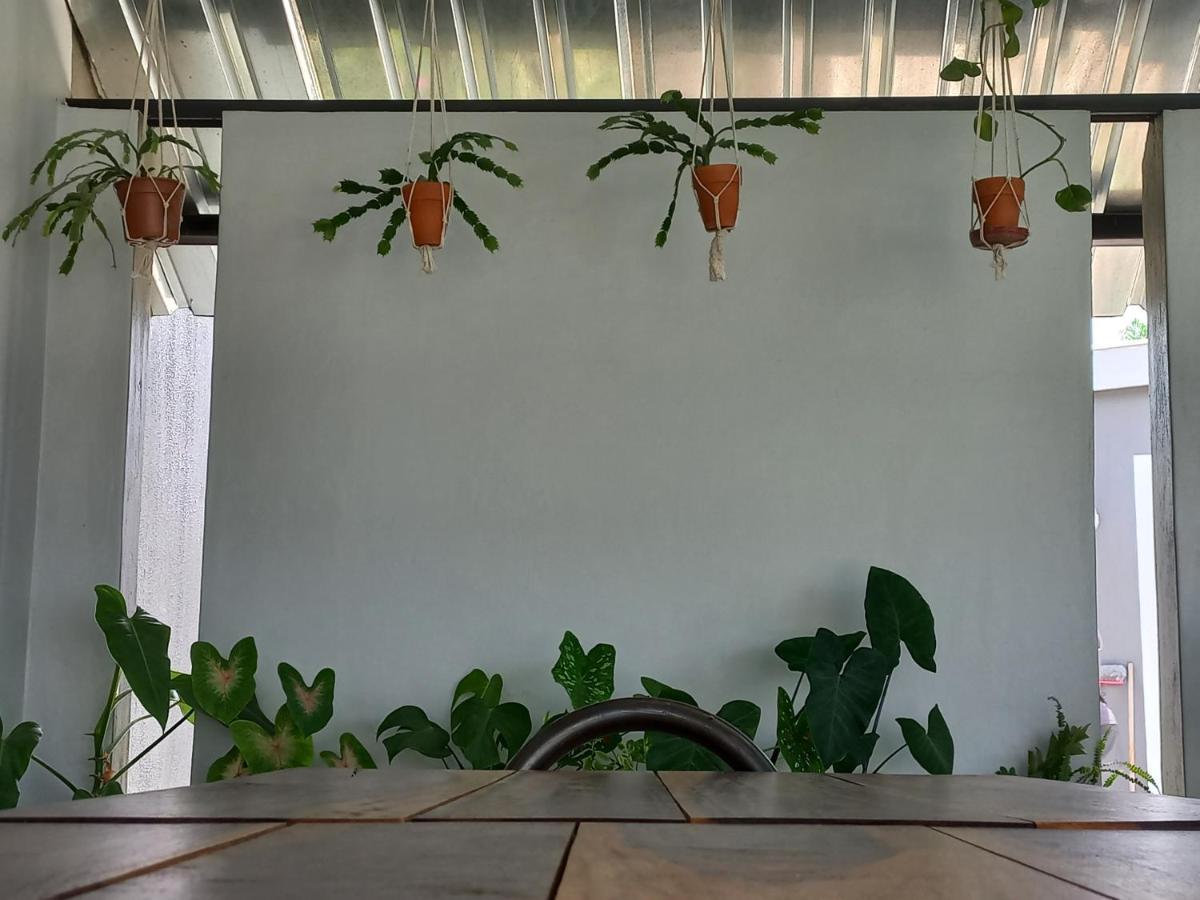 Urban Farm Haus Guesthouse Rundu Eksteriør billede